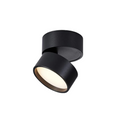 Adjustable LED Ceiling Light