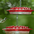 Ant-Proof Hummingbird Feeder