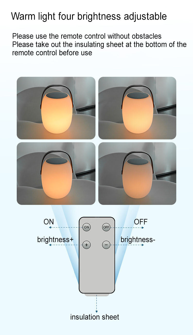 Solar Basket LED Outdoor Light