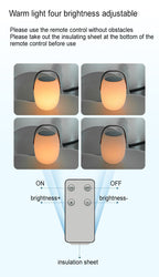 Solar Basket LED Outdoor Light