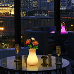 LED Flower Vase