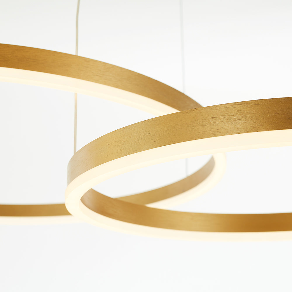 Arisha Ring Pendant Light – Modern Black and Gold Circular Ceiling Fixture