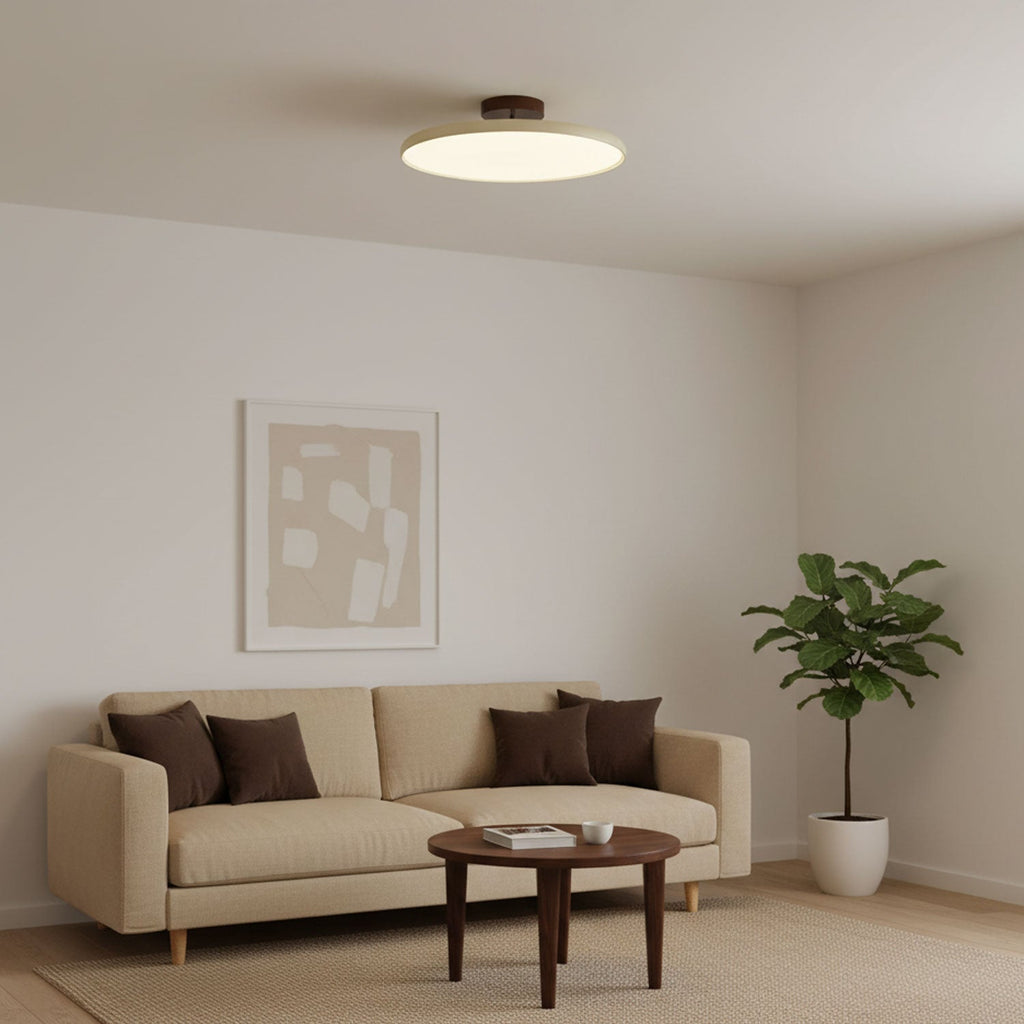 Drift Adjustable Ceiling Lamp