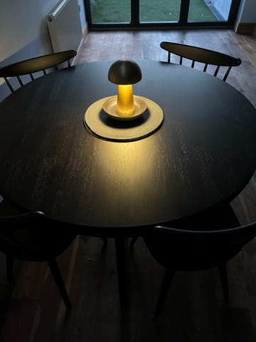 Cecily Portable Table Lamp