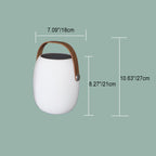 Solar Basket LED Outdoor Light