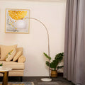 Dome LED Floor Lamp