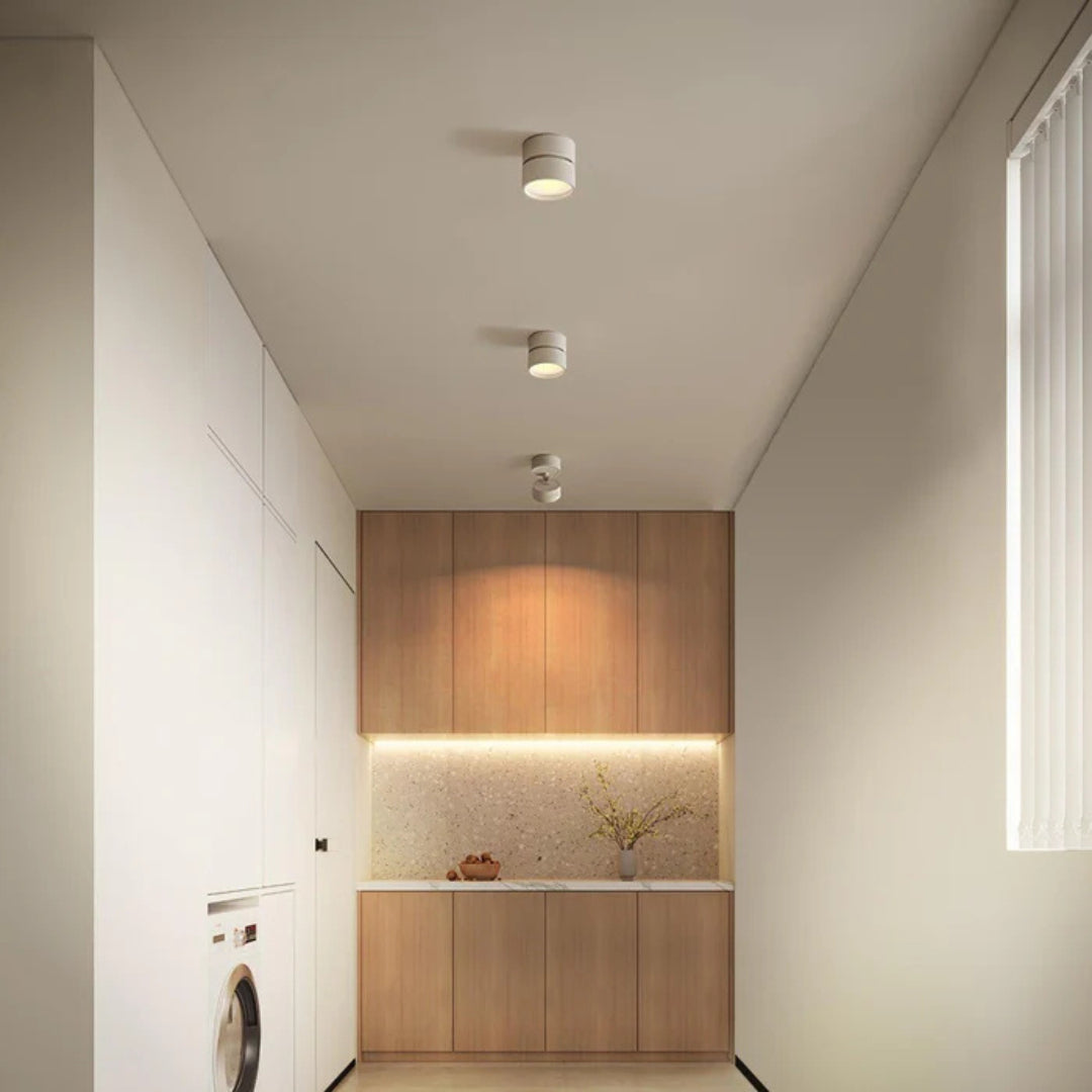 Adjustable LED Ceiling Light