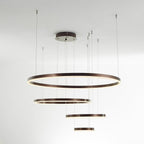 Arisha Ring Pendant Light – Modern Black and Gold Circular Ceiling Fixture