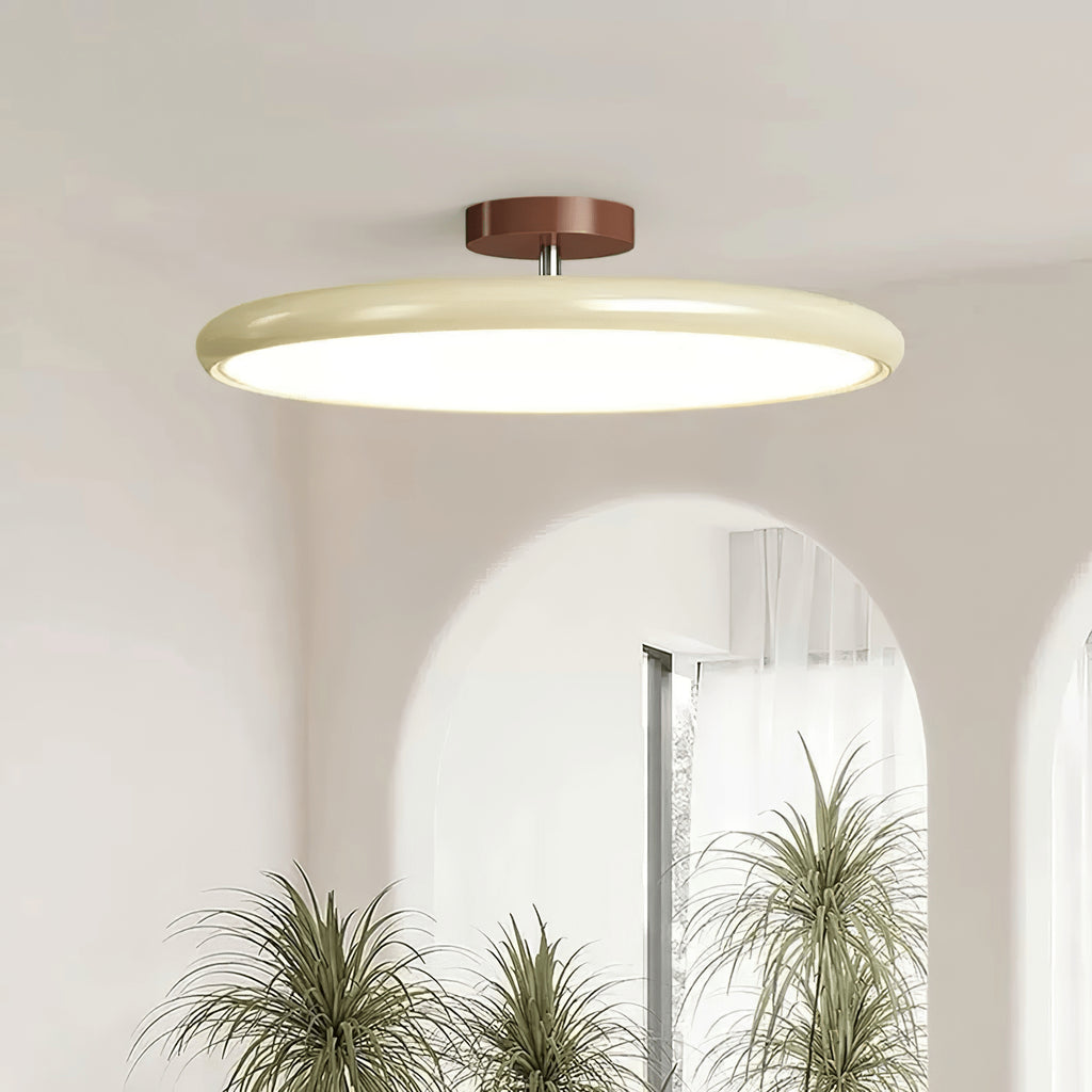 Drift Adjustable Ceiling Lamp