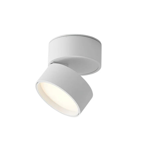 Adjustable LED Ceiling Light