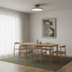 Drift Adjustable Ceiling Lamp