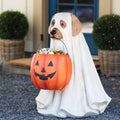 Pumpkin Puppy Garden Decor