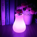 LED Flower Vase