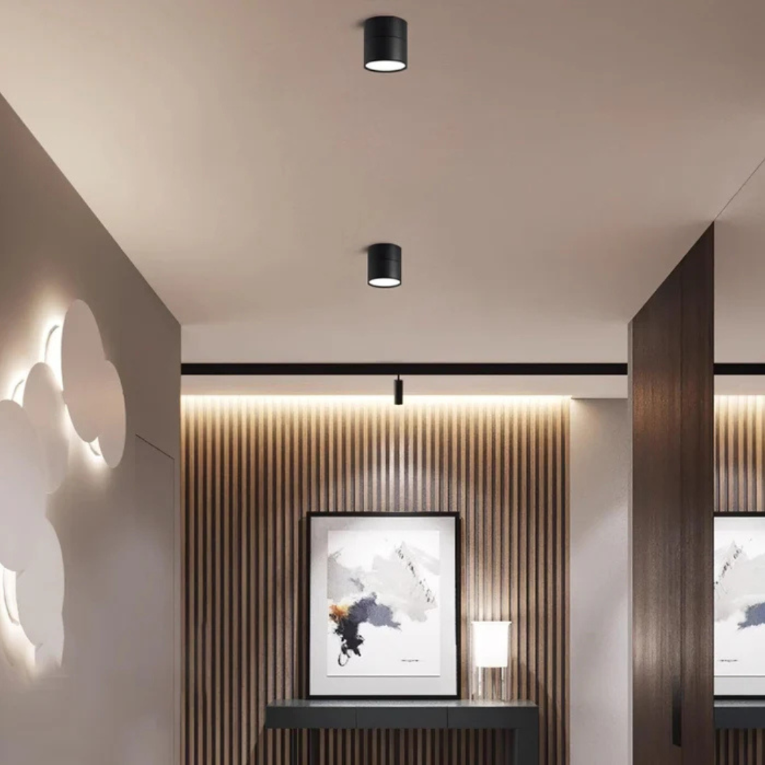 Adjustable LED Ceiling Light