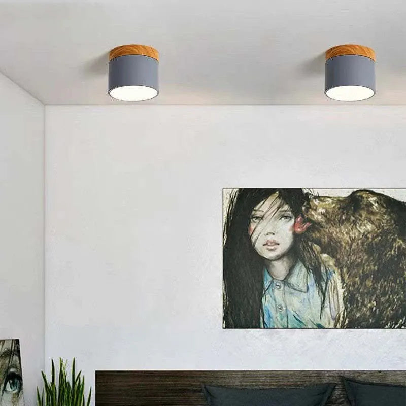 Macaron LED Flush Mount Ceiling Light
