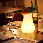LED Flower Vase