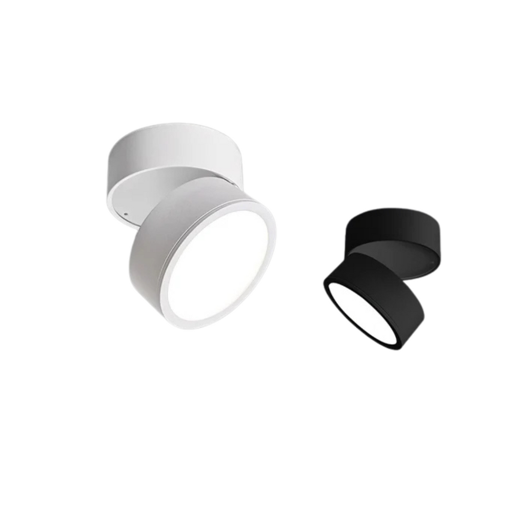 Adjustable LED Ceiling Light