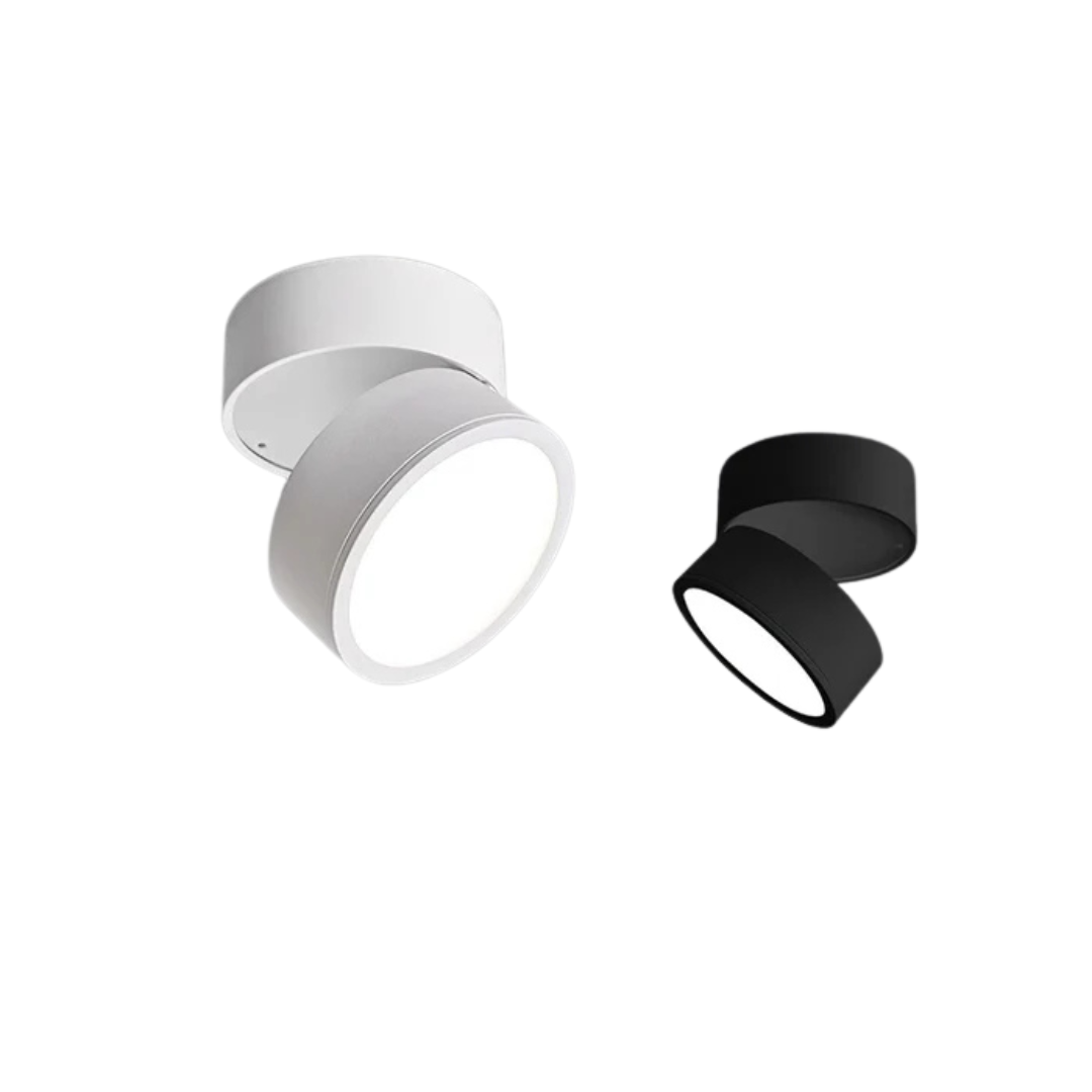 Adjustable LED Ceiling Light