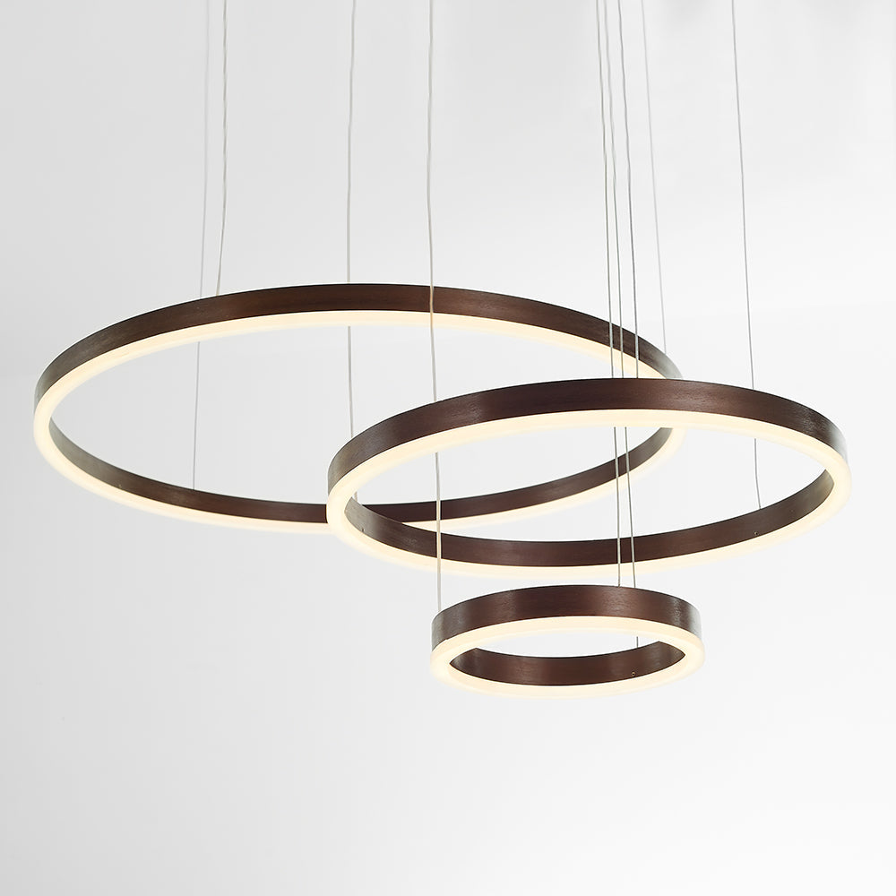 Arisha Ring Pendant Light – Modern Black and Gold Circular Ceiling Fixture