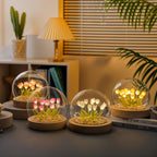 LumiTulip LED Dome Lamp