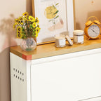 Slim Flip-Door Shoe Cabinet