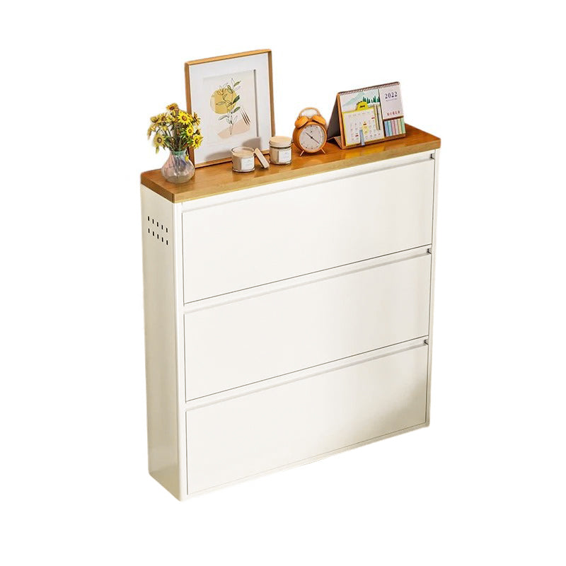 Slim Flip-Door Shoe Cabinet