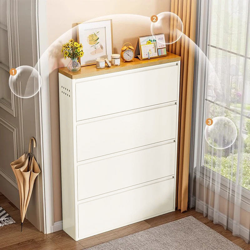 Slim Flip-Door Shoe Cabinet