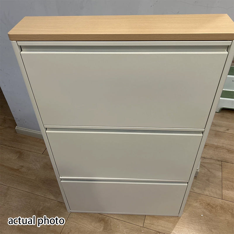 Slim Flip-Door Shoe Cabinet