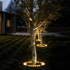 Outdoor Tree Spotlight