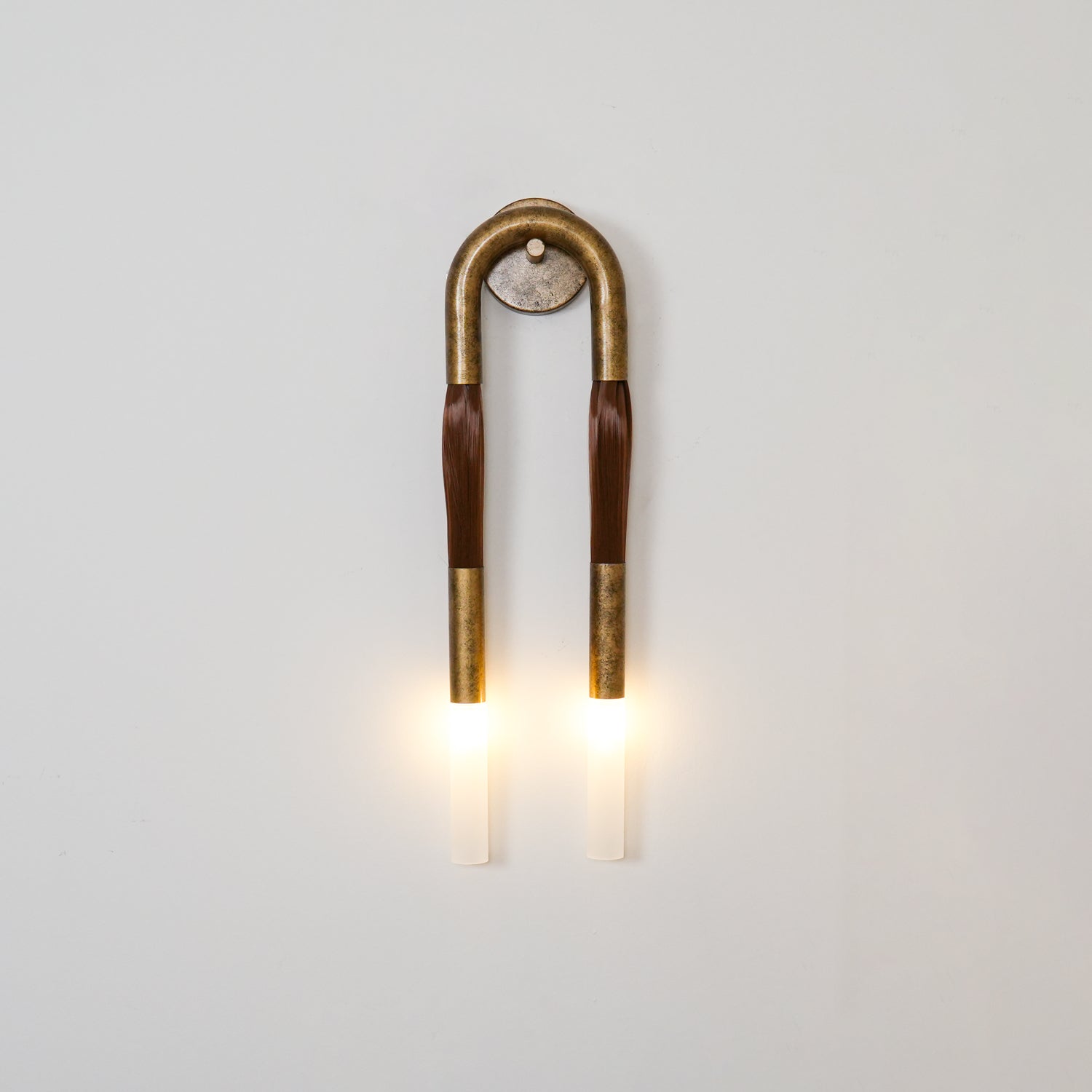 Horsehair Sculptural Wall Light