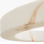 Alviori Ring Pendant Light