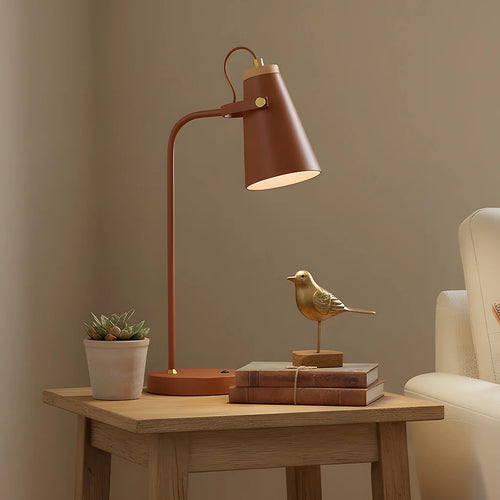Adjustable Industrial Desk Task Lamp
