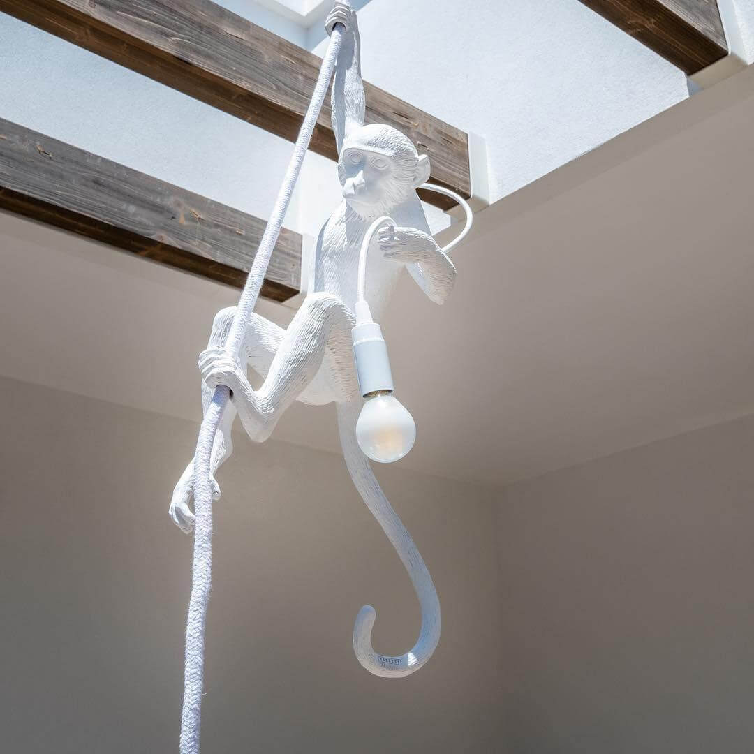 Monkey Pendant Light