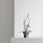 Osaka Sculptural Bowl