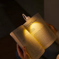 Mini Clip-On Book Light
