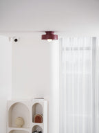 Simon Sculptural Ceiling Light