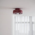 Simon Sculptural Ceiling Light