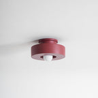 Simon Sculptural Ceiling Light