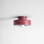 Simon Sculptural Ceiling Light