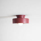 Simon Sculptural Ceiling Light
