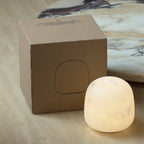 Snowflake Alabaster Table Lamp
