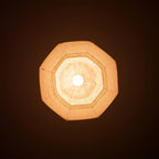 Tama Pendant Light