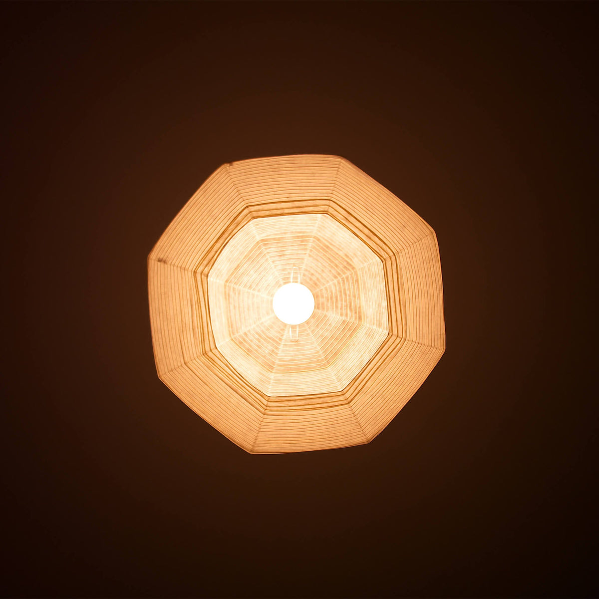 Tama Pendant Light