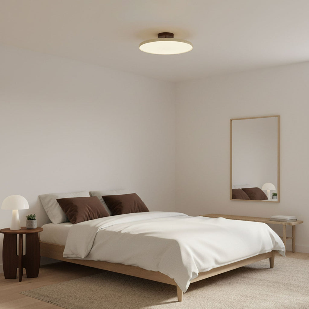 Drift Adjustable Ceiling Lamp