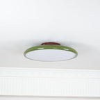 Drift Adjustable Ceiling Lamp
