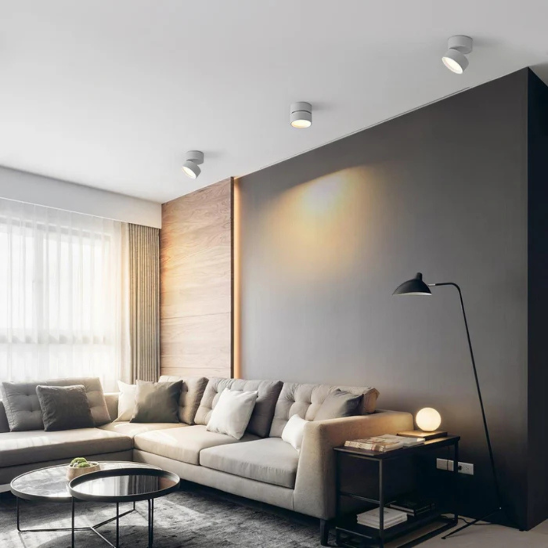 Adjustable LED Ceiling Light
