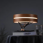 Circle of Life Lamp