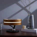 Circle of Life Lamp