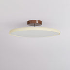 Drift Adjustable Ceiling Lamp