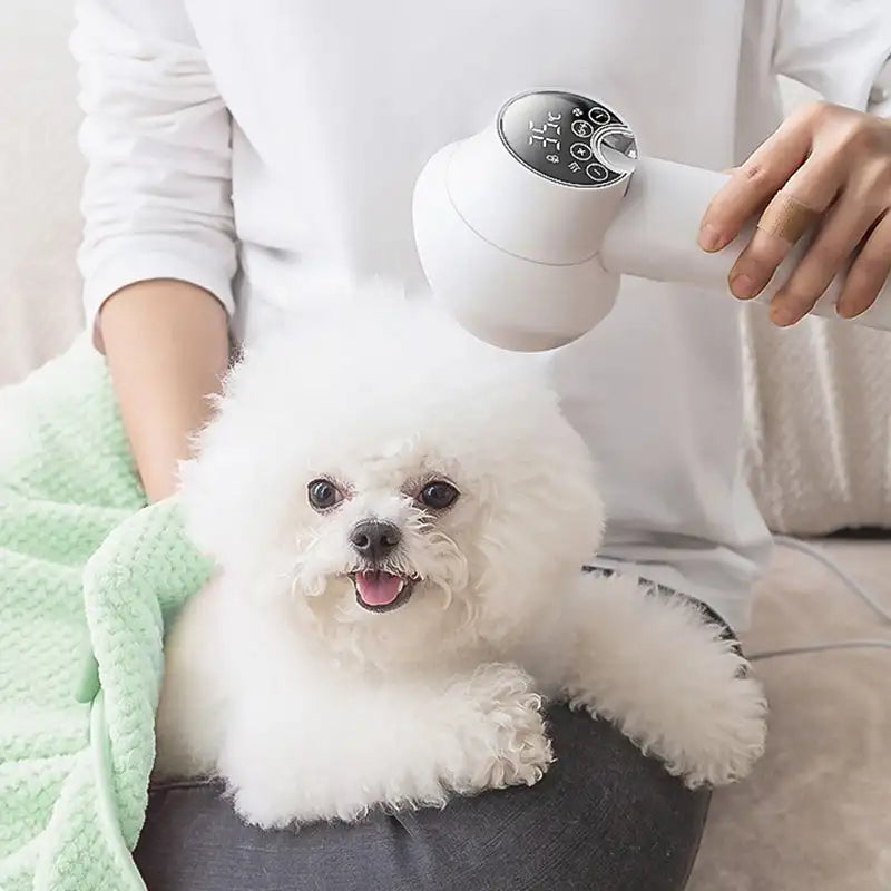 2-in-1 Pet Hair Dryer and Brush